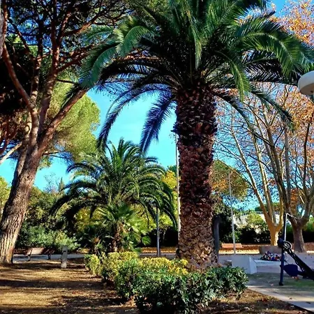 Centre-ville A 2 Pas De La